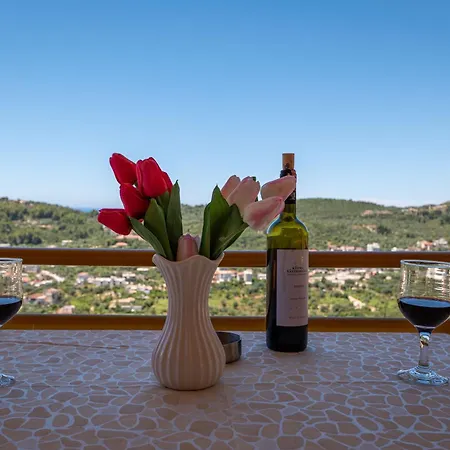 Hotel Alex Himare
